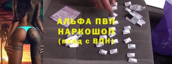 ECSTASY Магадан