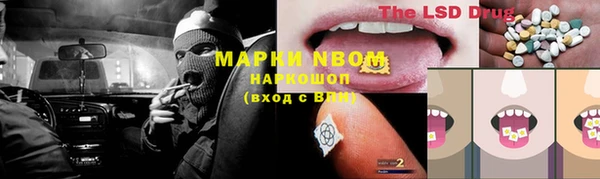 ECSTASY Магадан