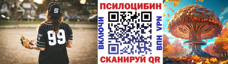Купить где  Фокино  Галлюциногенные грибы Psilocybine cubensis 